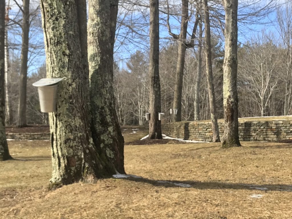 2018 Maple Syrup Season is Officially Open in New Hampshire Mission Exploration